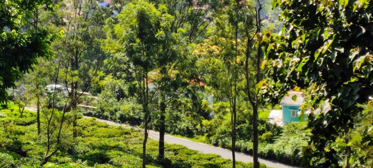 كوتاغيري Adithya Sunrise View Cottage المظهر الخارجي الصورة